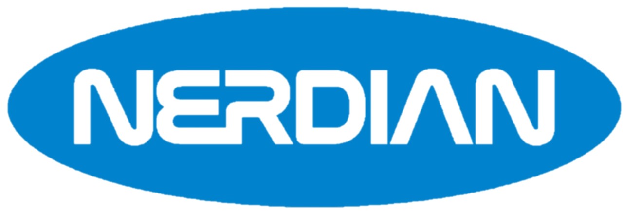 Nerdian logo